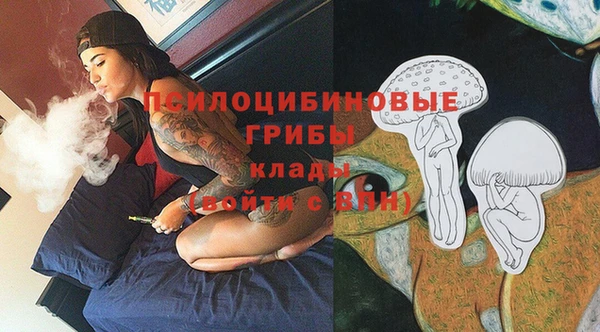 метадон Чердынь