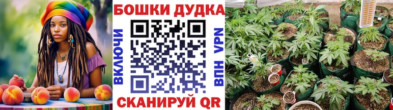 кракен ONION  цена наркотик  Владикавказ  Канабис план 